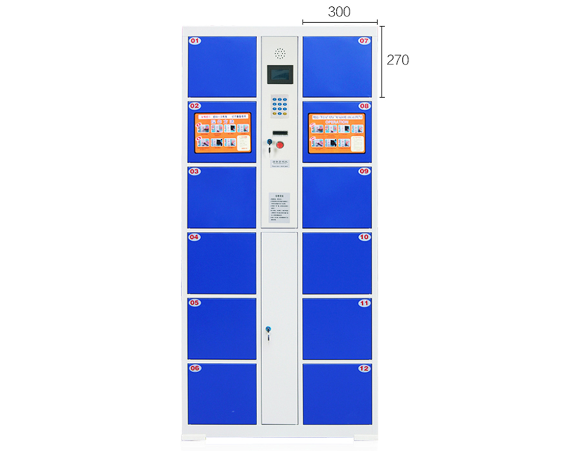 12門條碼存包柜